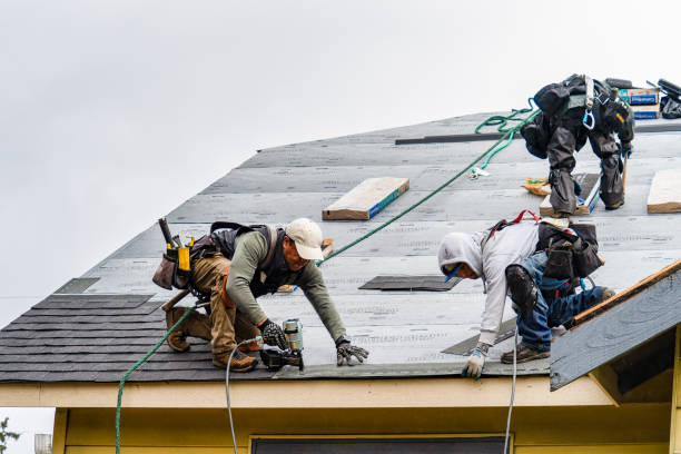 Professional Roofing technician working in Mc Bain, MI